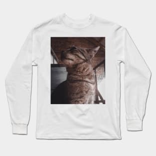 cat Long Sleeve T-Shirt